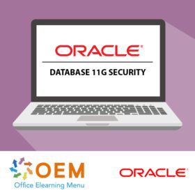Oracle Database 11g Security E-Learning